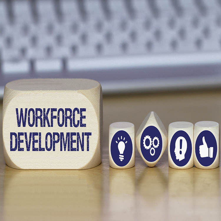 Workforce development