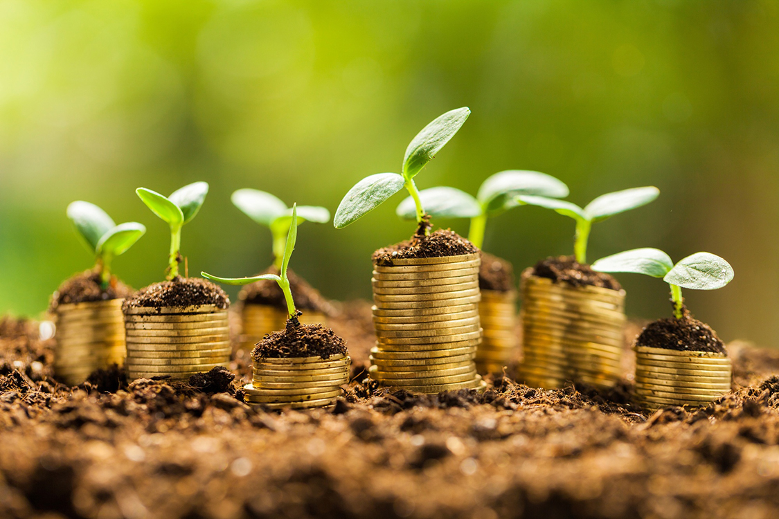 Capital for growth