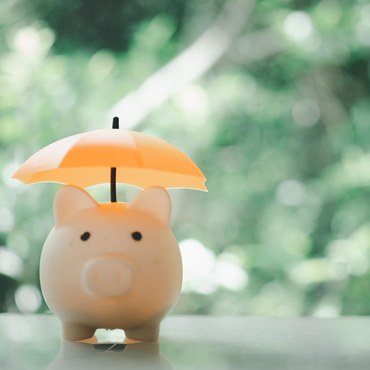 Rainy day fund